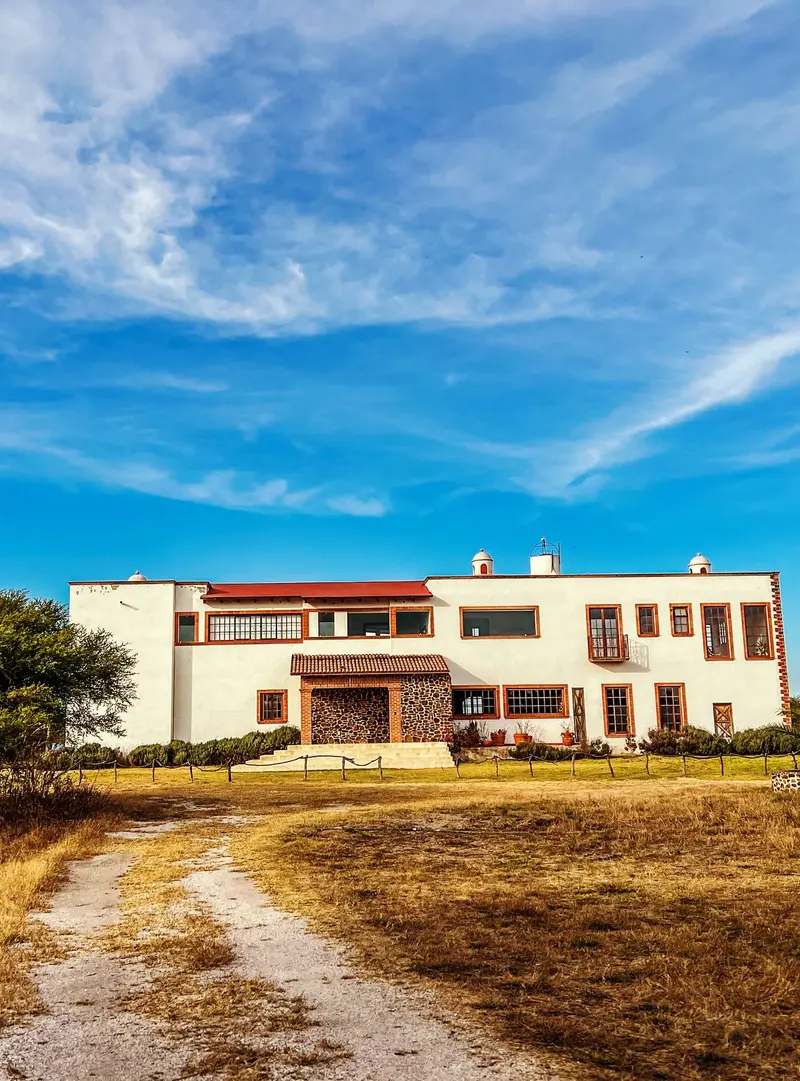 Viñedo San Juanito — foto 5