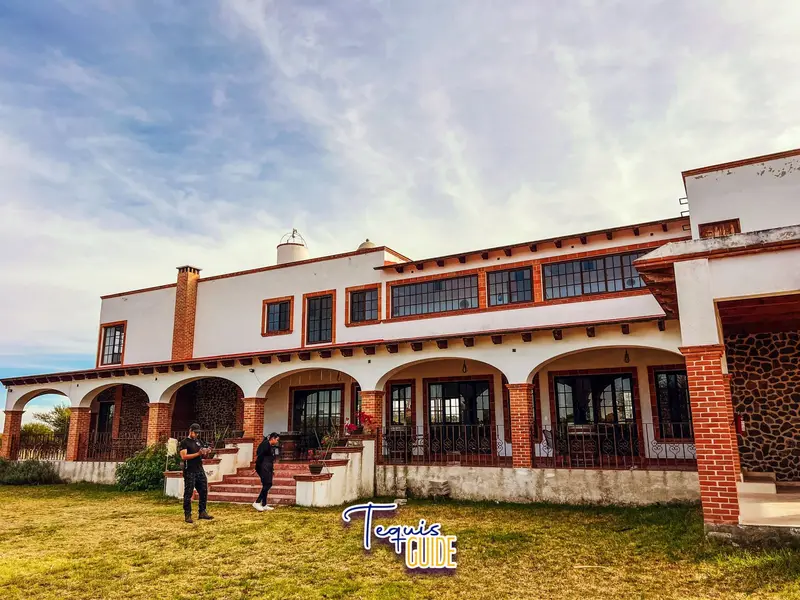 Viñedo San Juanito — foto 7